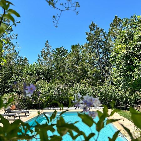 Provenzalisches Landhaus Les Martinets Am Fusse Des Mont Ventoux Villes-sur-Auzon Bagian luar foto